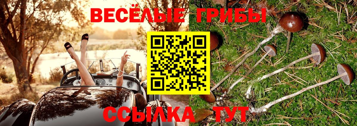 Галлюциногенные грибы Magic Shrooms Норильск