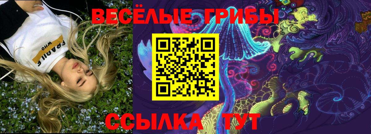 Псилоцибиновые грибы мицелий  Вход с VPN  Норильск  Псилоцибиновые грибы мухоморы 